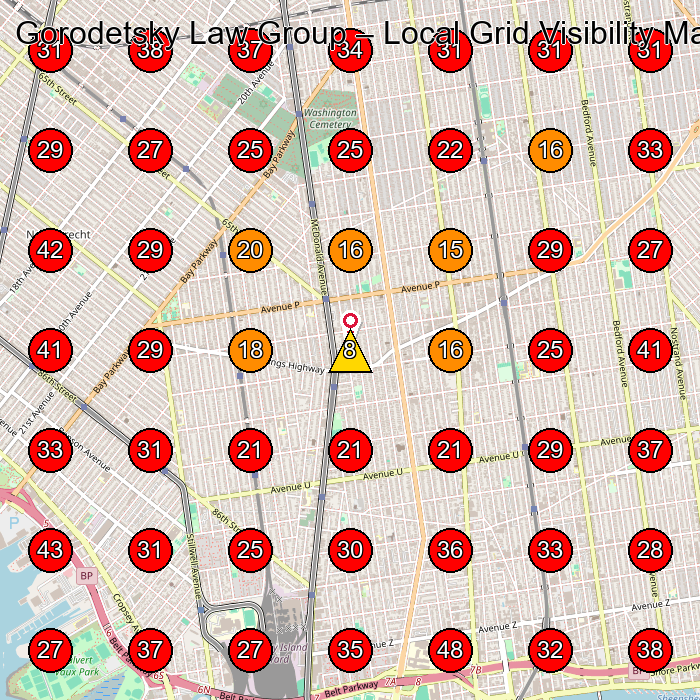 Gorodetsky Law Group GeoGrid visibility map for Biotechnology Company in Brooklyn